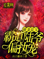 娇妻是宝：霸道陆爷偏执宠