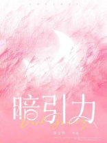 暗引力（岳雨婷、卡戎主演电视剧《婚后引力》原著小说）