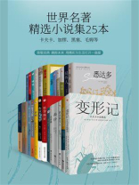 世界名著精选小说集（全25本）