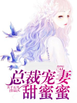 总裁宠妻甜蜜蜜