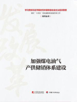 加强煤电油气产供储销体系建设（学习贯彻习近平新时代中国特色社会主义经济思想做好“十四五”规划编制和发展改革工作系列丛书）