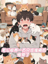 老公收养一百只流浪猫后，悔哭了