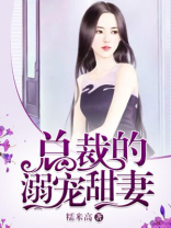 总裁的溺宠甜妻