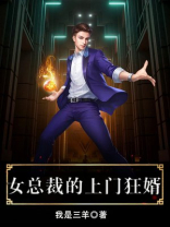 女总裁的上门狂婿