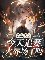 总裁大人今天追妻火葬场了吗