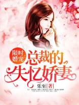 限时婚宠：总裁的失忆娇妻