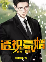 透视豪婿