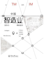 中国智造业竞争力调研报告