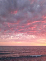 重生一次后，我主动成为劫匪人质