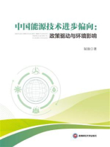 中国能源技术进步偏向：政策驱动与环境影响