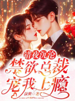 错夜沉沦，禁欲总裁宠我上瘾