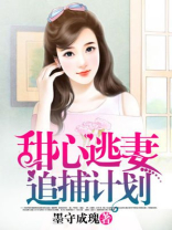 甜心逃妻追捕计划