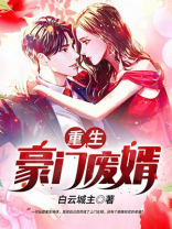重生豪门废婿