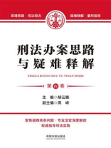 刑法办案思路与疑难释解（第四卷）