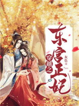 穿越之东宫正妃