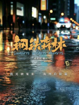 钢铁森林（井柏然、蔡文静、秦俊杰主演同名热播剧原著）