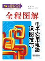 全程图解电子实用电路识图技巧