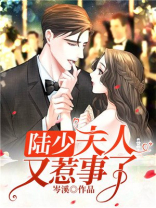 陆少，夫人又惹事了