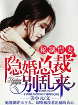 秘制悍妻：隐婚总裁别乱来