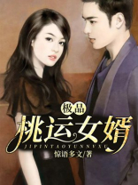 极品桃运女婿
