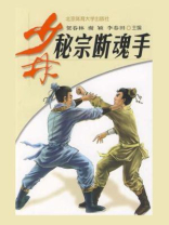 少林秘宗断魂手