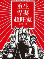 重生悍妻超旺家