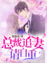 总裁追妻请自重