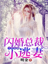 天价追捕：闪婚总裁小逃妻