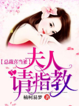 总裁喜当爹：夫人请指教