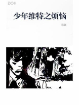 少年维特之烦恼