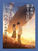 齐柏林号：那个夏日的飞艇