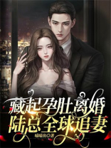 藏起孕肚离婚，陆总全球追妻