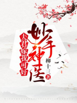 妙手神医：夫君嫁我可好