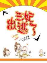 王妃出逃了
