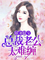 娇妻似宝：总裁老公太难缠