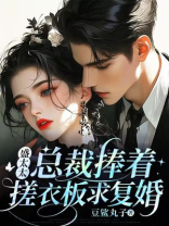 盛太太，总裁捧着搓衣板求复婚