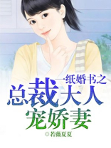一纸婚书之总裁大人宠娇妻