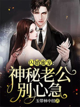 闪婚蜜宠：神秘老公别心急