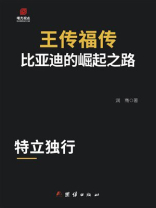 王传福传：比亚迪的崛起之路