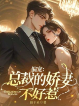 偏宠：总裁的娇妻不好惹