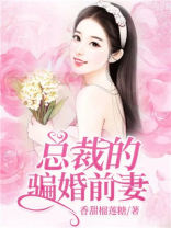 总裁的骗婚前妻