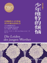 少年维特的烦恼