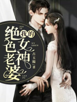 我的绝色女神老婆