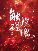 触碰玫瑰 触碰玫瑰