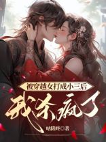 被穿越女打成小三后，我杀疯了