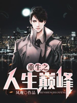 重生之人生巅峰