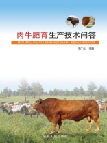 肉牛肥育生产技术问答
