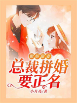 傲娇甜妻：总裁拼婚要正名