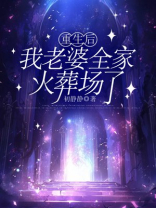 重生后，我老婆全家火葬场了