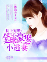 全球豪娶小逃妻 全球豪娶小逃妻